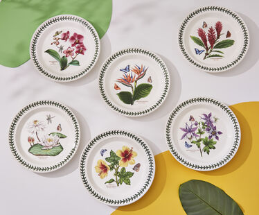 Exotic Botanic Garden Set of 6 Dinner Plates